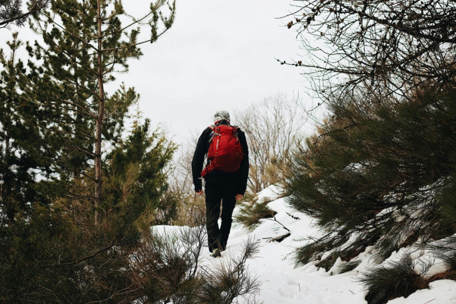Освітній простір для вивчення туроператорського маркетингу